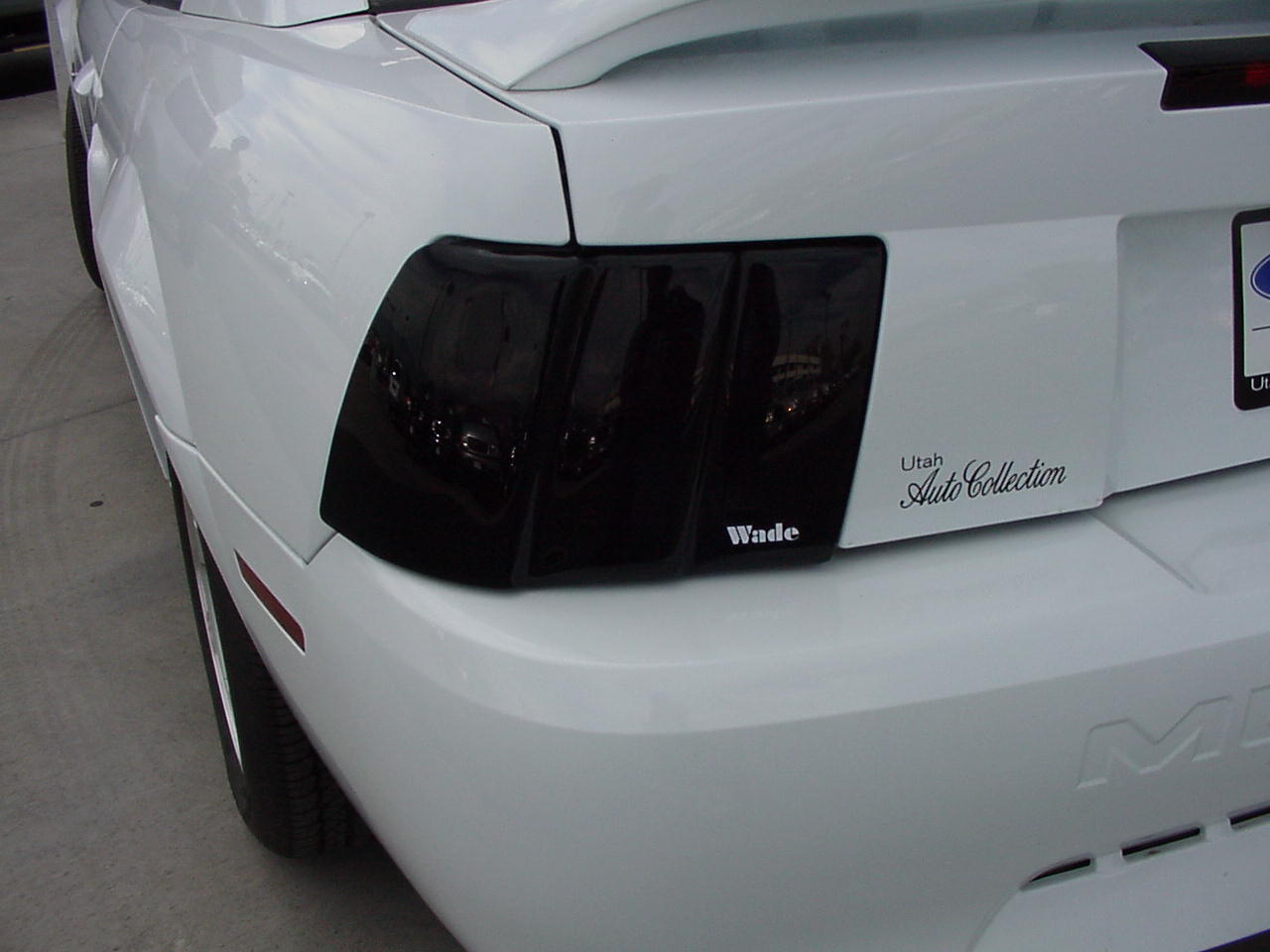 1995 Hyundai Accent Tail Light Covers
