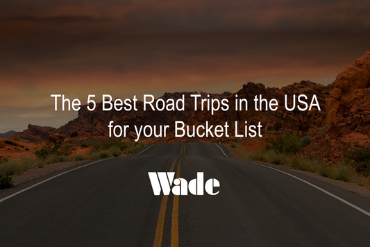 The 5 Best Road Trips in the USA for Your Bucket List